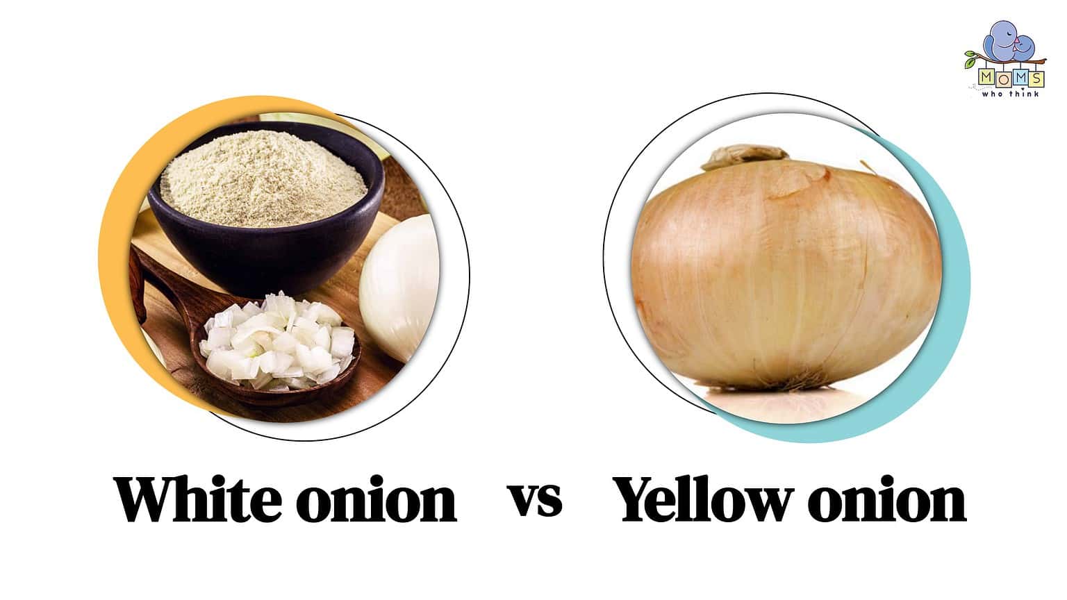 White Onion Vs Yellow Onion When To Cook With Each 3 Key Differences   404c442caf58a5199b28b0bb73c4af1d50d18db0 1536x864 