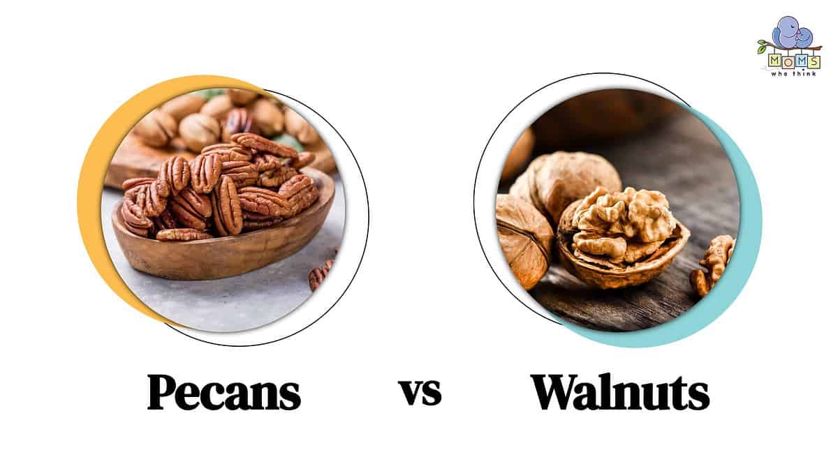 Pecan Vs Walnut Two Nutrition Powerhouses Which Is Healthier 