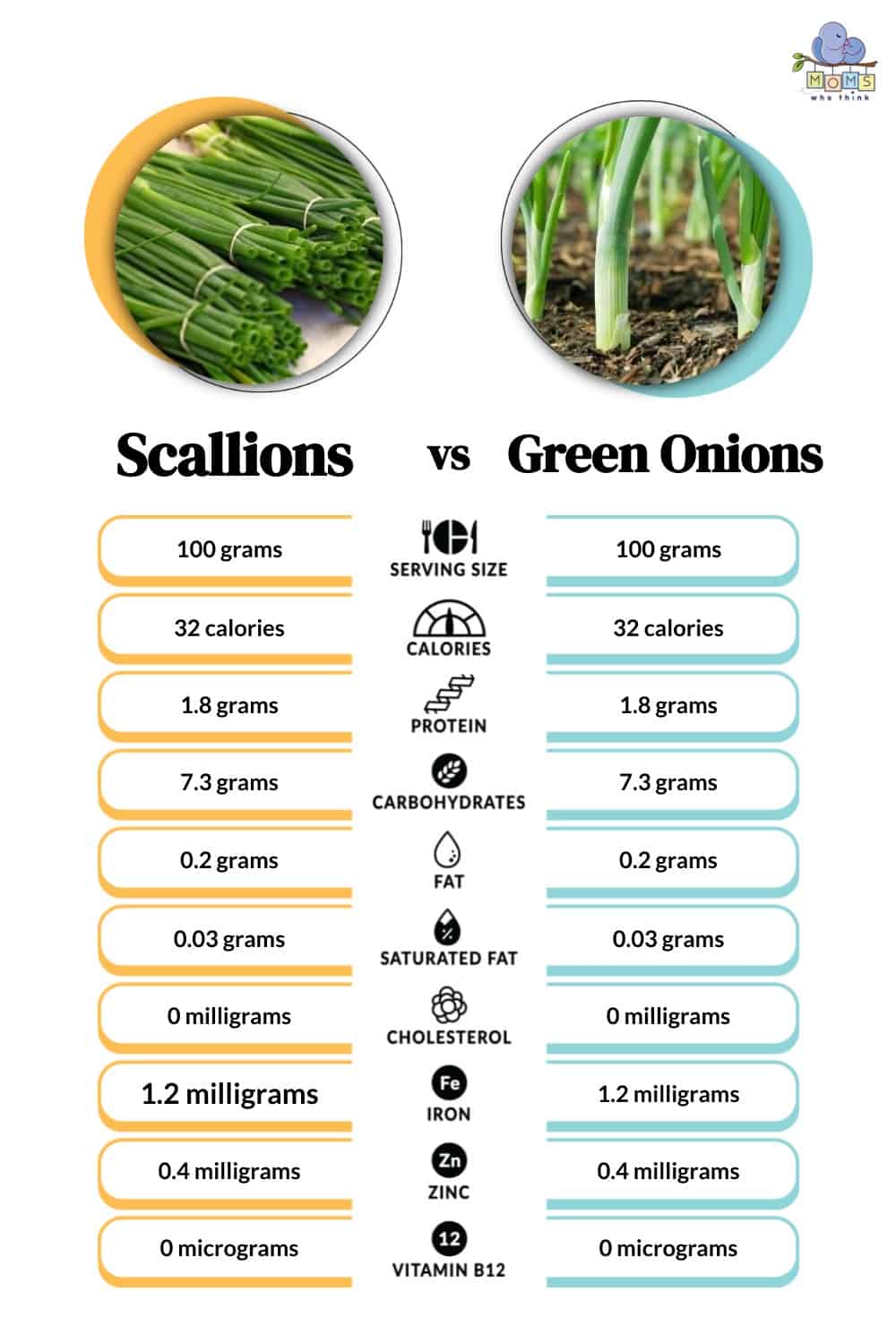🆚What is the difference between scallion and green onion and