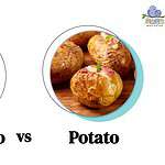 Sweet Potato vs. Regular Potato: Which is Healthier & 3 Key Differences