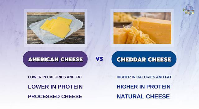 American Cheese Vs. Cheddar Cheese: How Are They Different & Full ...