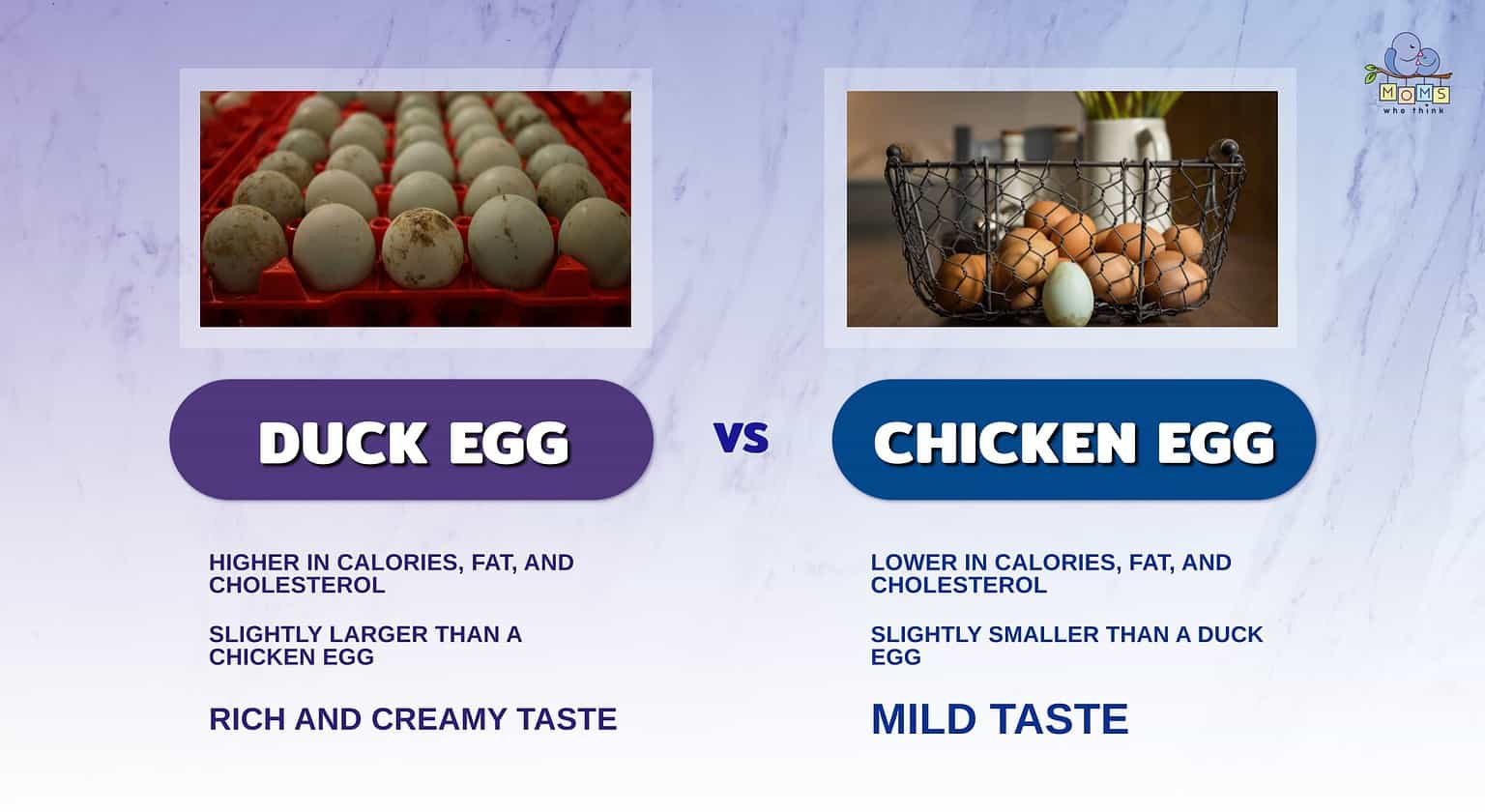 Duck Eggs Vs Chicken Eggs 3 Key Differences Nutrition Comparison   78cd00a2cb3320e5a03f477e7f9ce1f6c45e2795 1536x840 