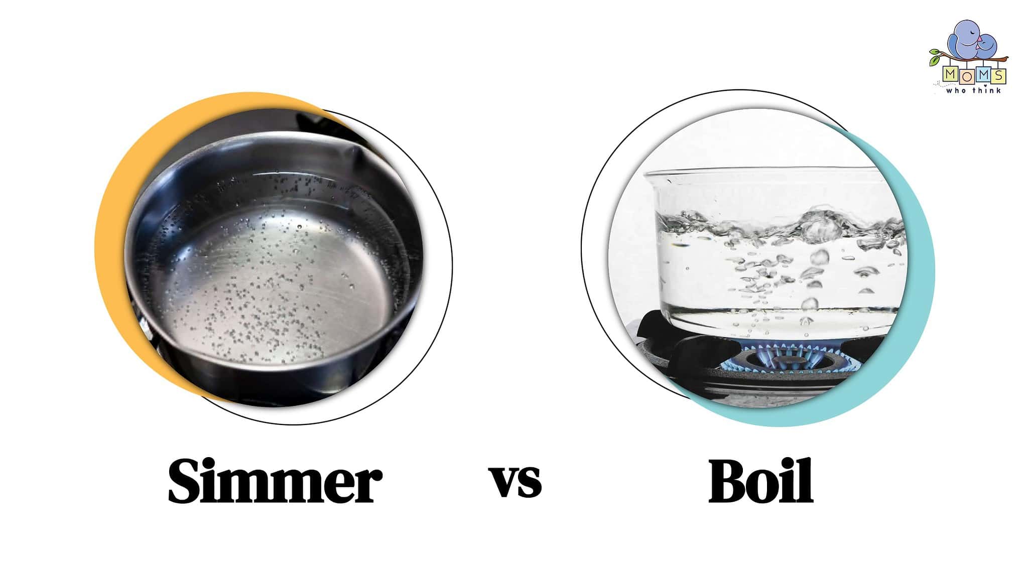 Simmer Vs. Boil: How To Tell The Differences (With Temperatures)