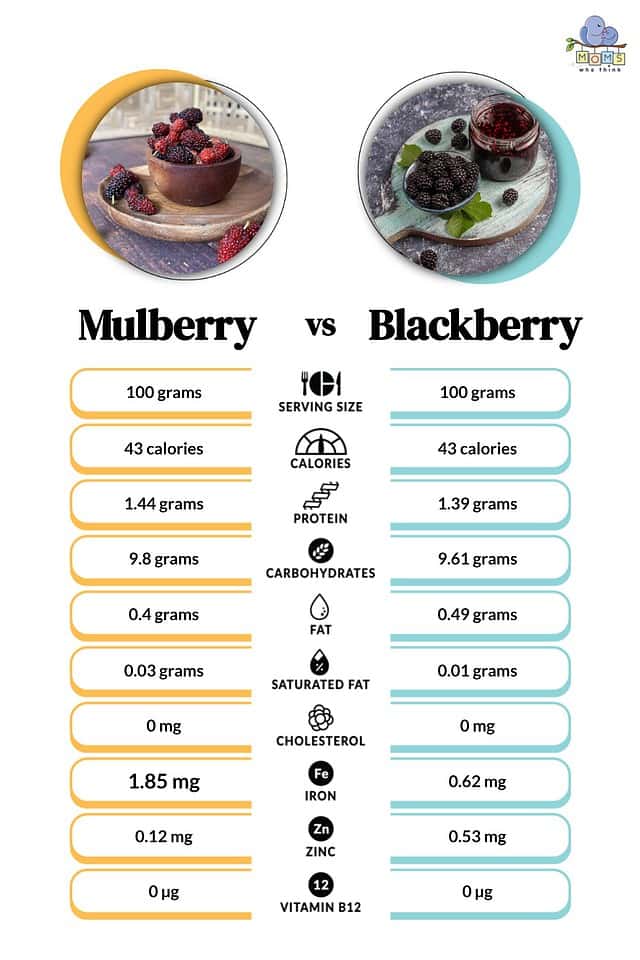 Mulberry Vs. Blackberry: Health Comparison & 3 Key Differences