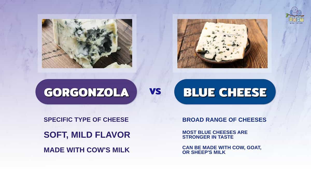 Blue Cheese vs. Gorgonzola: What's the Difference?