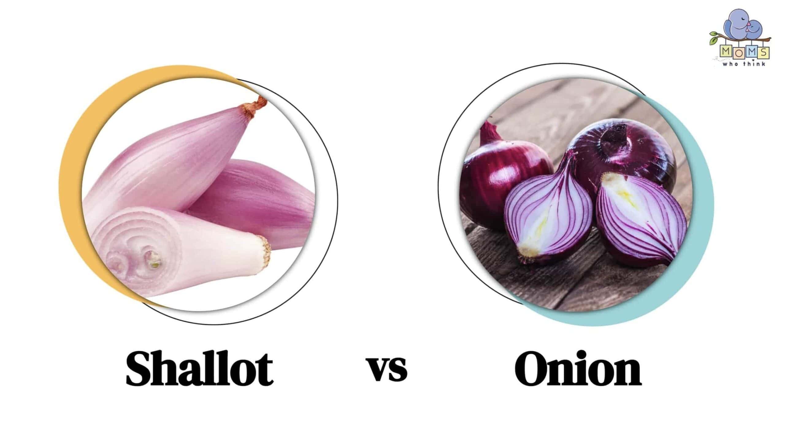 Shallot Vs Onions: Differences, Substitutes