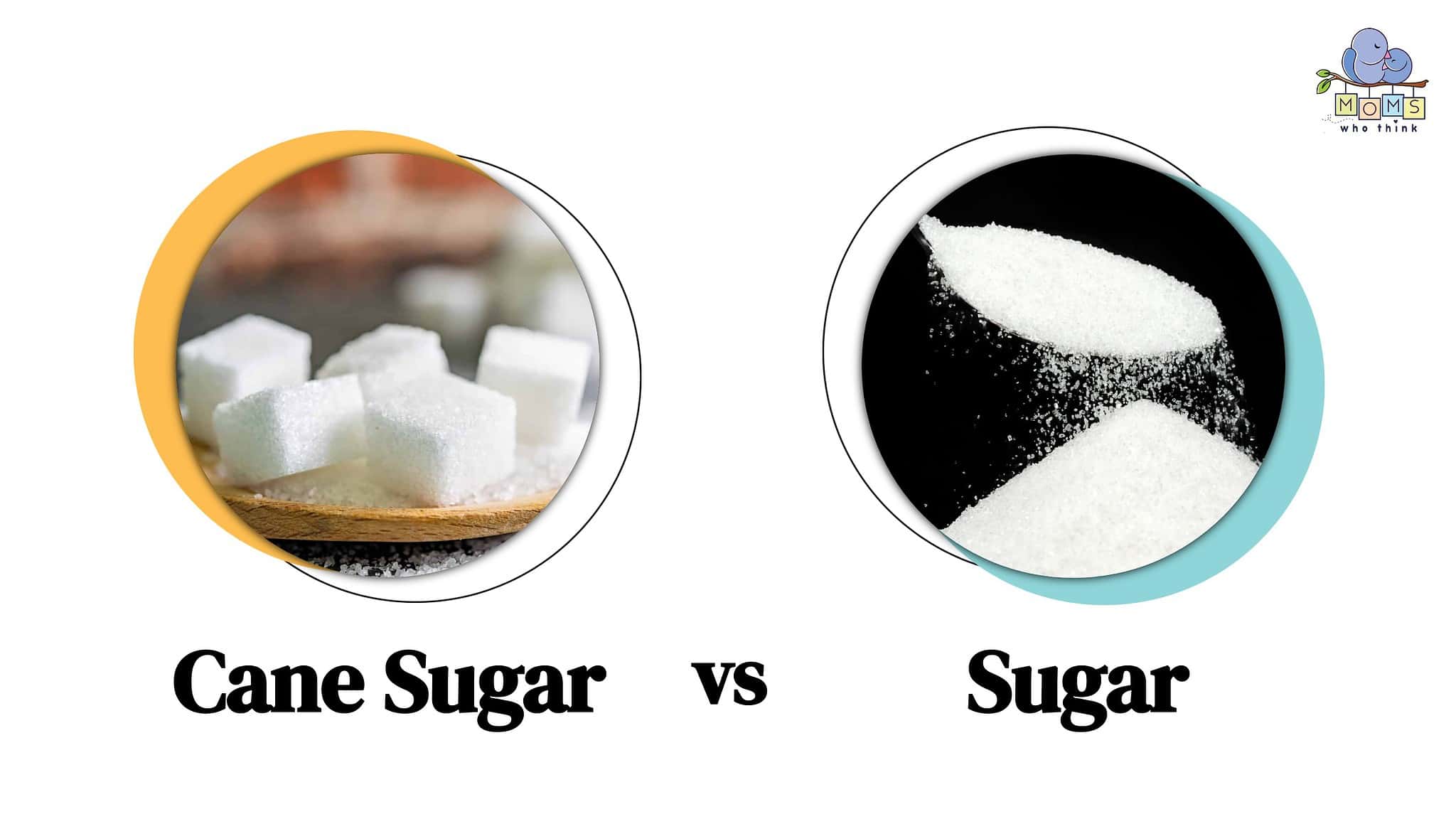 Cane Sugar vs. Sugar: What are the Differences & Which is Healthier?