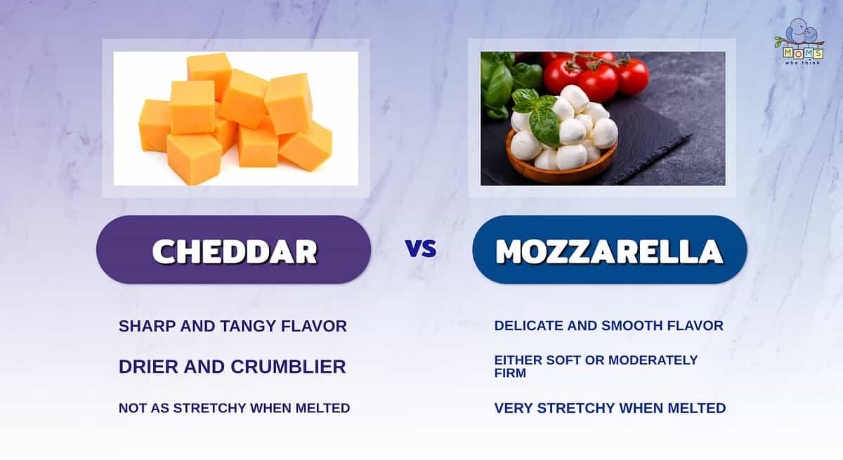 Cheddar vs. Mozzarella: Which Cheese Is Right for Your Next Family Meal?