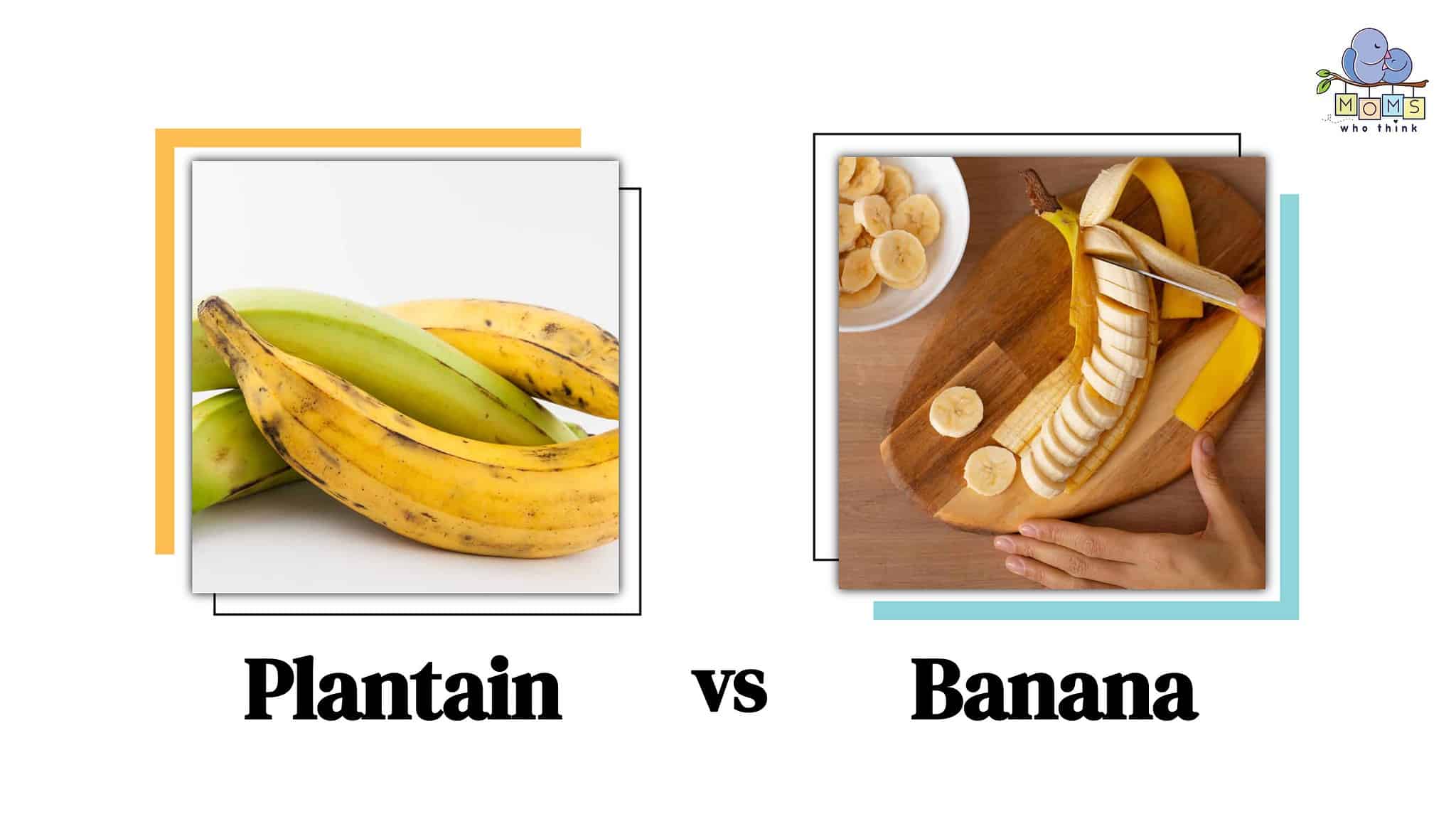 Plantain vs. Banana 4 Key Differences & A Full Health Comparison