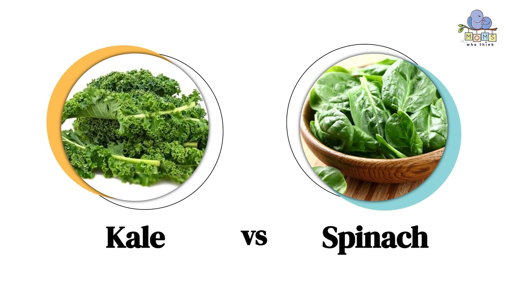 Kale Vs Spinach Key Differences And Nutritional Breakdown