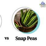 Snow Peas vs. Snap Peas: 3 Differences & When to Cook with Each