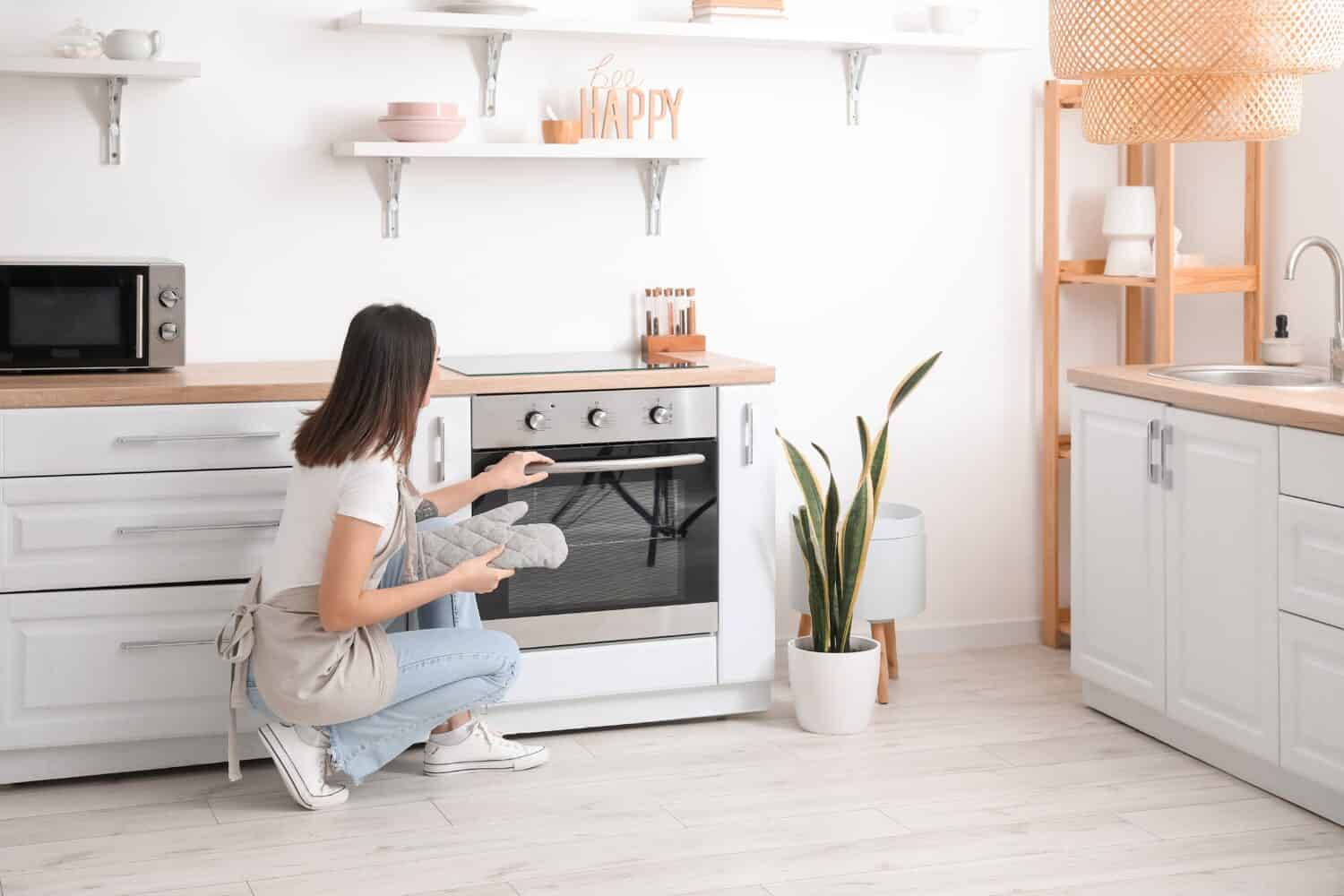 Convection Oven vs. Conventional Oven: 5 Key Differences & How to Cook with  Each