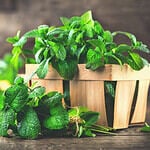 Spearmint vs. Peppermint: 3 Differences & Health Benefits