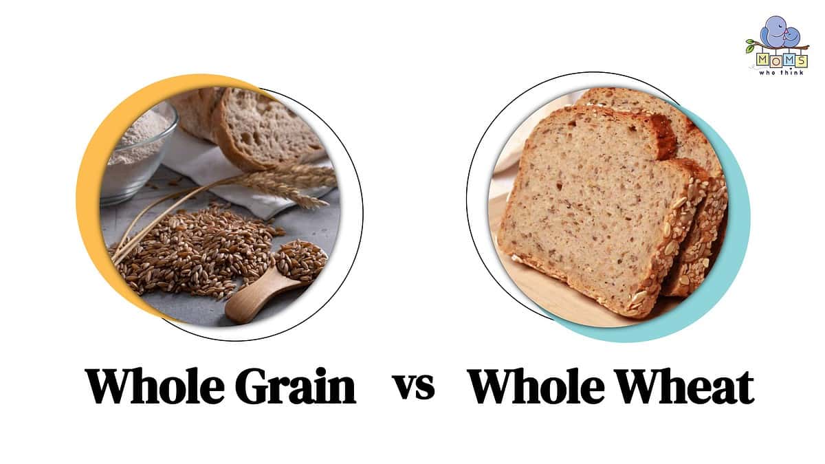 Whole Grain Vs Whole Wheat Which Is Healthier And Key Differences Moms Who Think 9756