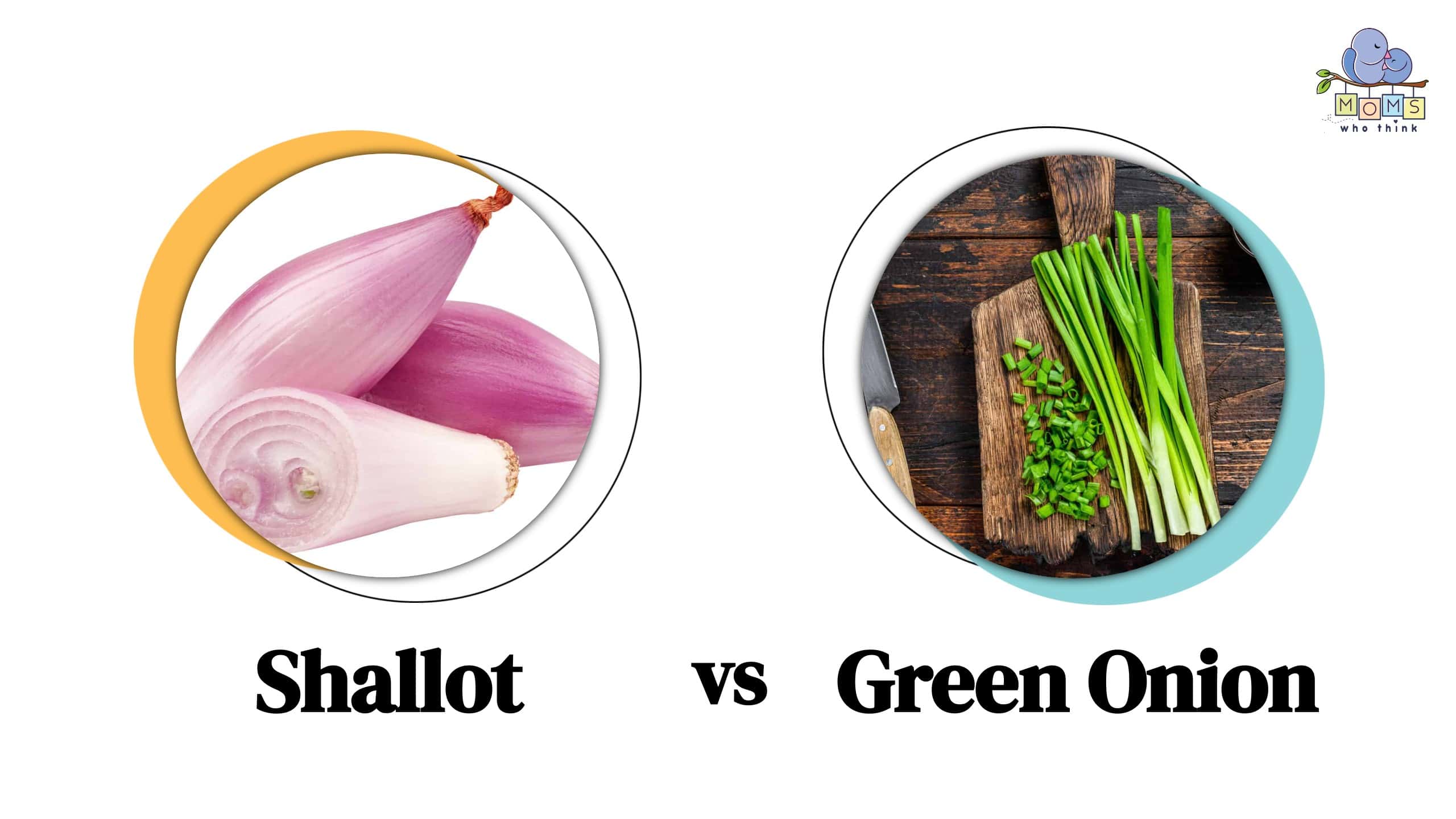 FreshPoint  What's the difference between a shallot and an onion?
