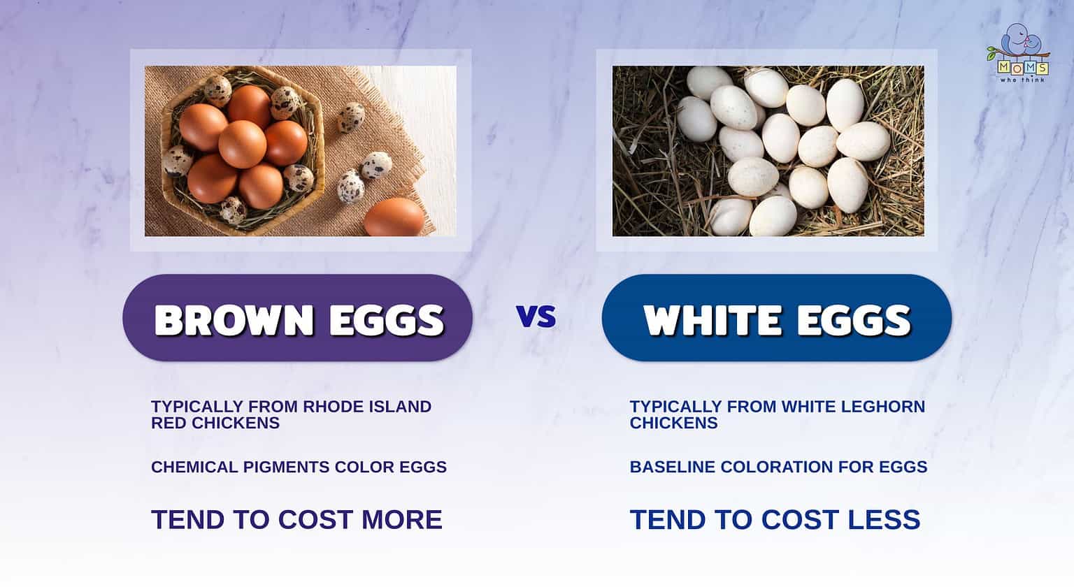 Brown Eggs vs. White Eggs What Causes The Different Colors?