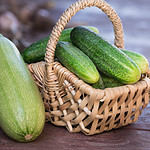 How To Cook Zucchini Perfectly, 4 Ways