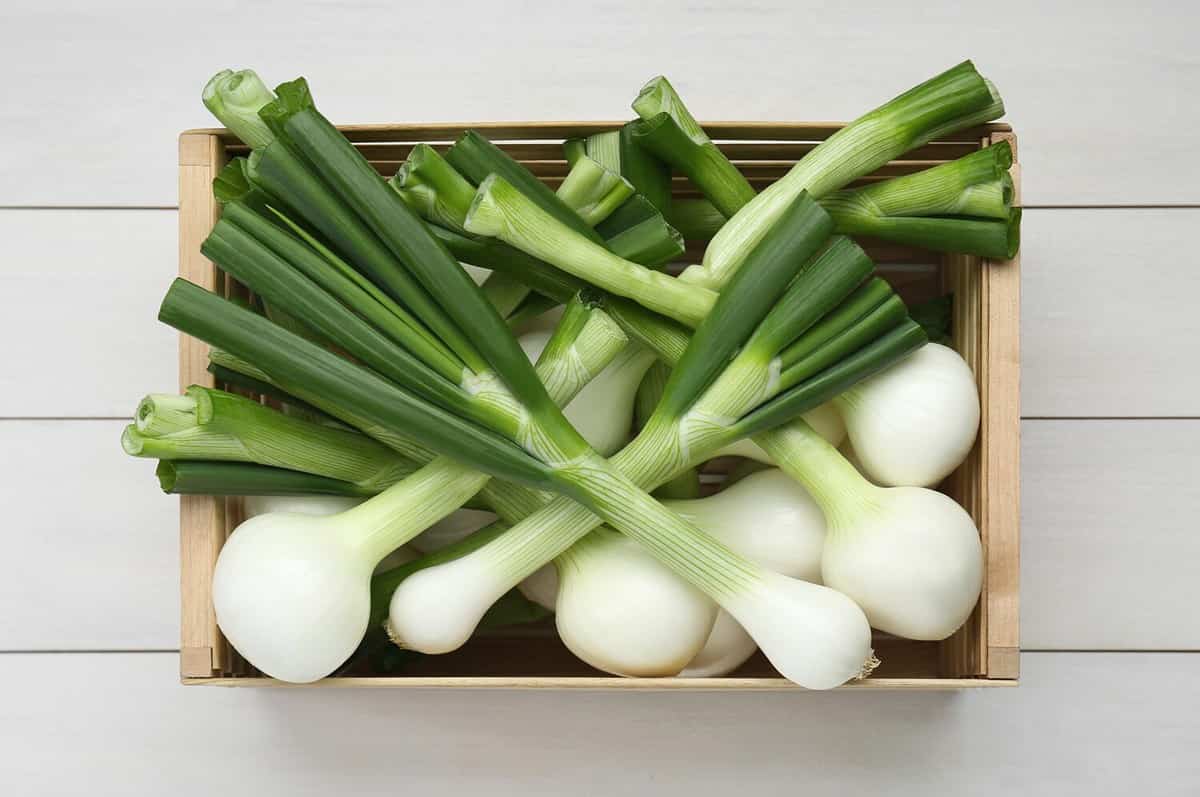 Spring Onion Vs Green Onion 3 Differences Including Taste And When To