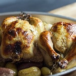 Cornish Game Hen