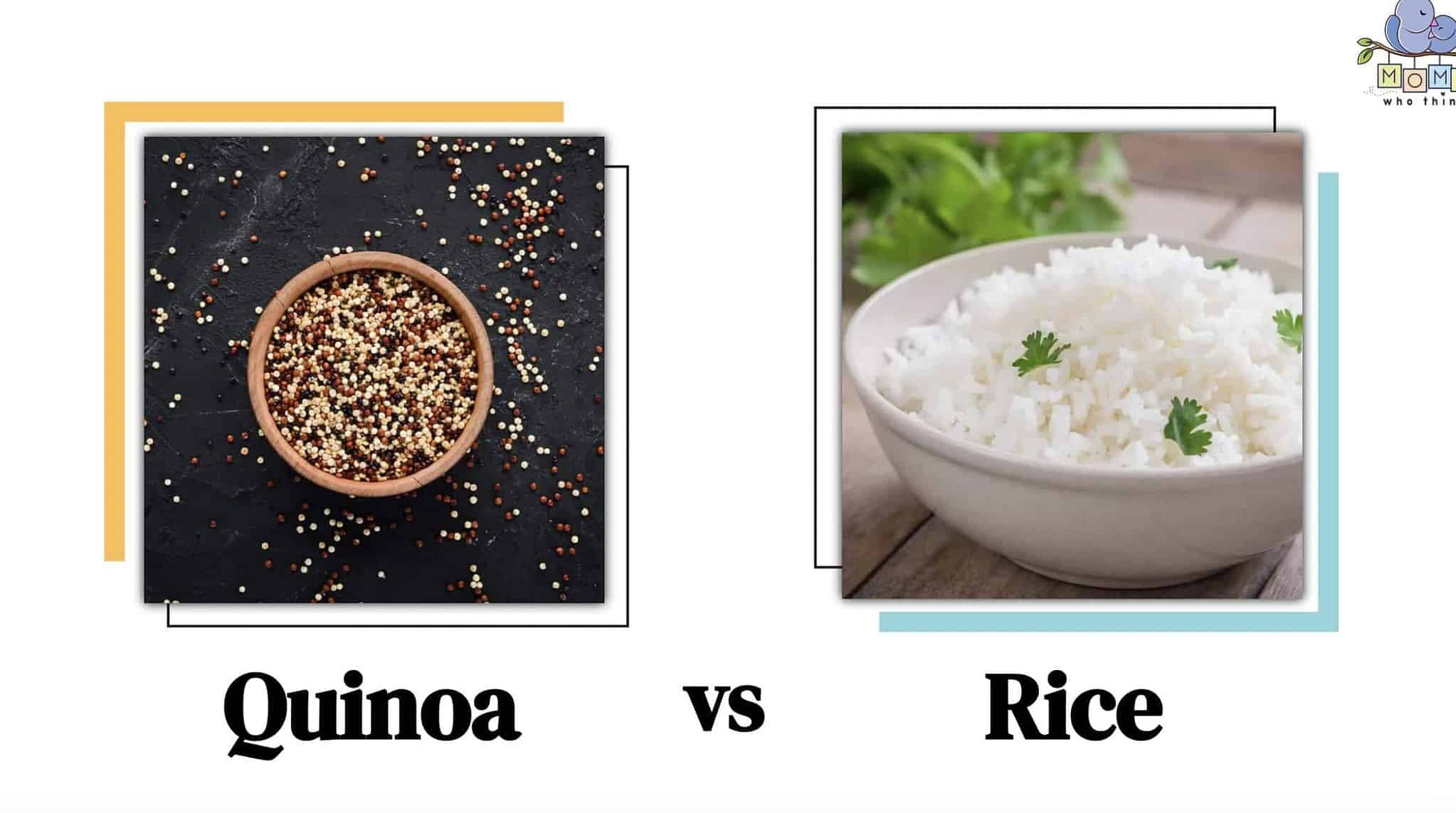 quinoa-vs-brown-rice-3-major-differences-to-know-about-these-healthy-options