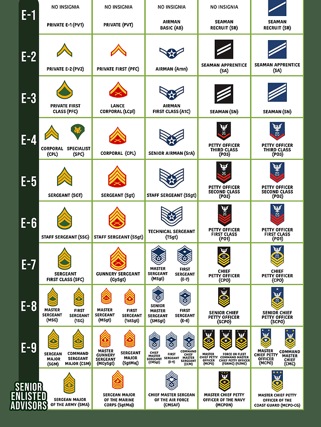 Use This Military Rank Chart To Understand Each Position – Moms Who Think