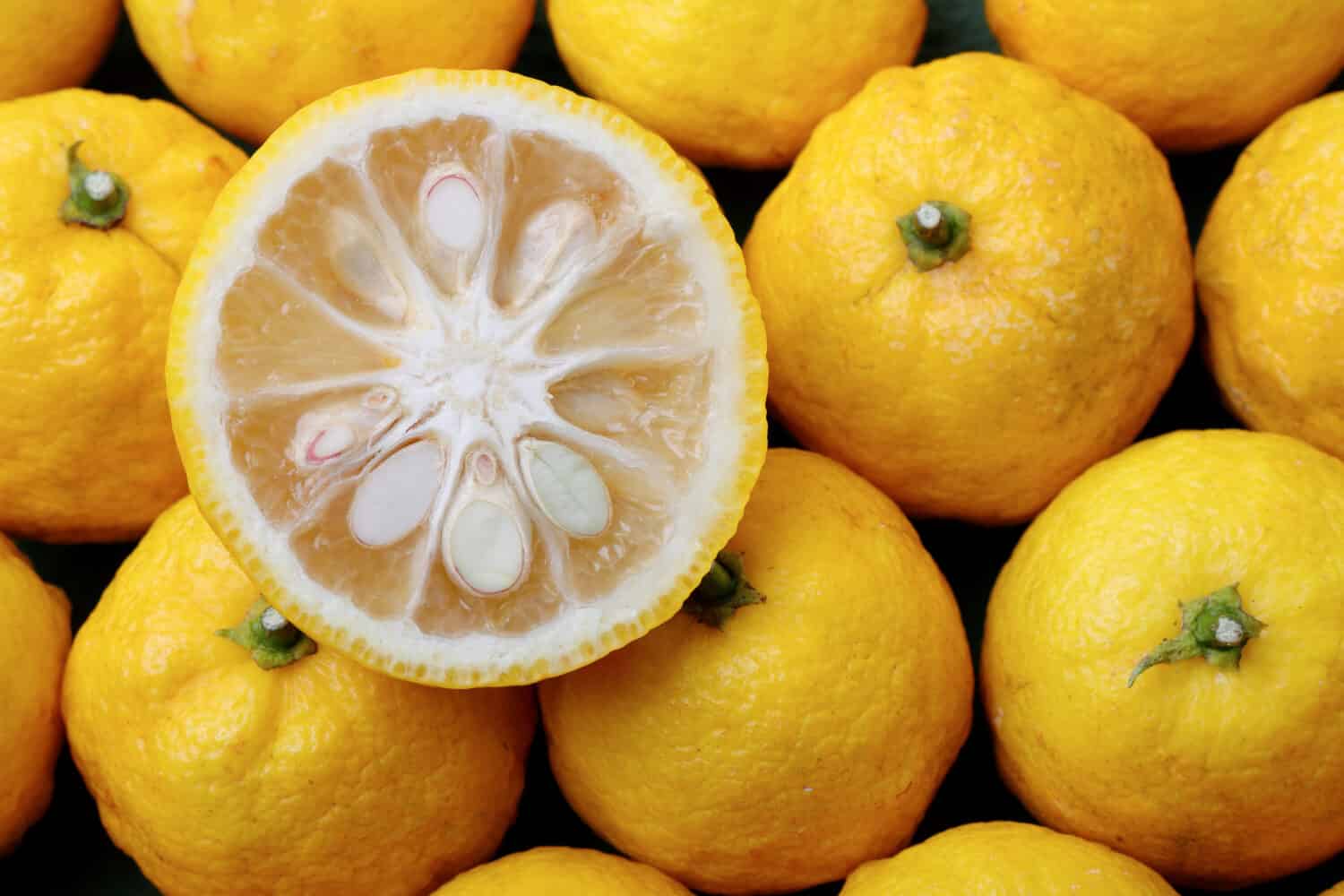 Tangerines vs. Mandarins: The Sweet Showdown of Similarities and  Differences!