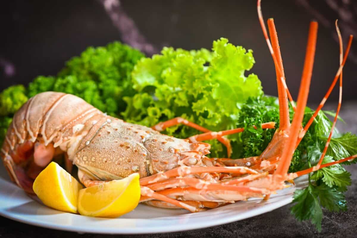 Fresh lobster food on colourfull background. Top view,red lobster ,lime,slate plate ,red lobster , lemon ,Cooked lobster,wooden board,Canadian Lobster, dinner,Grilled cheese lobster,Boiled