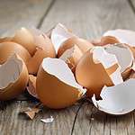 5. Eggshells