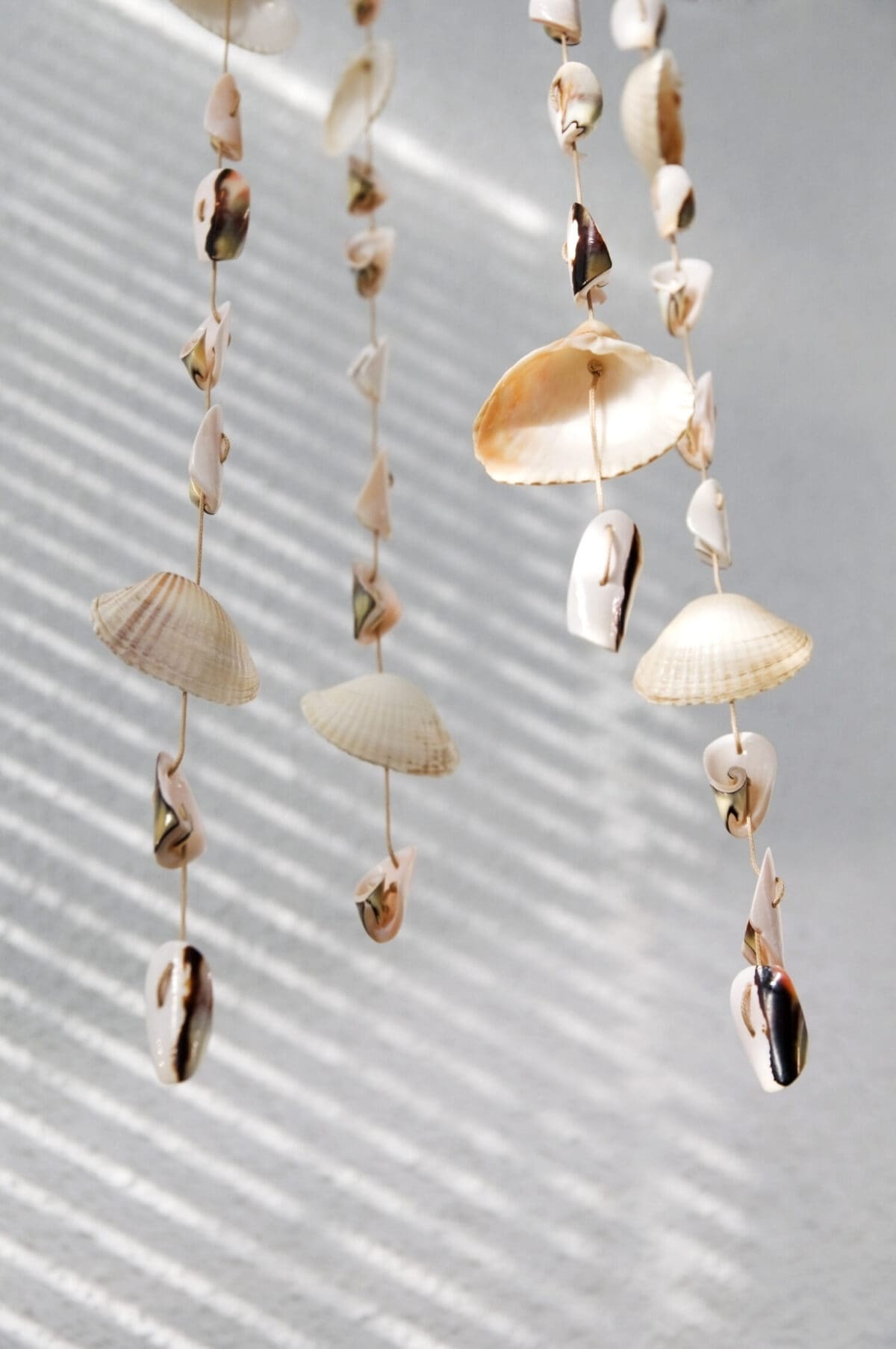 Handmade wind chimes (mobile) of seashells in sunlight