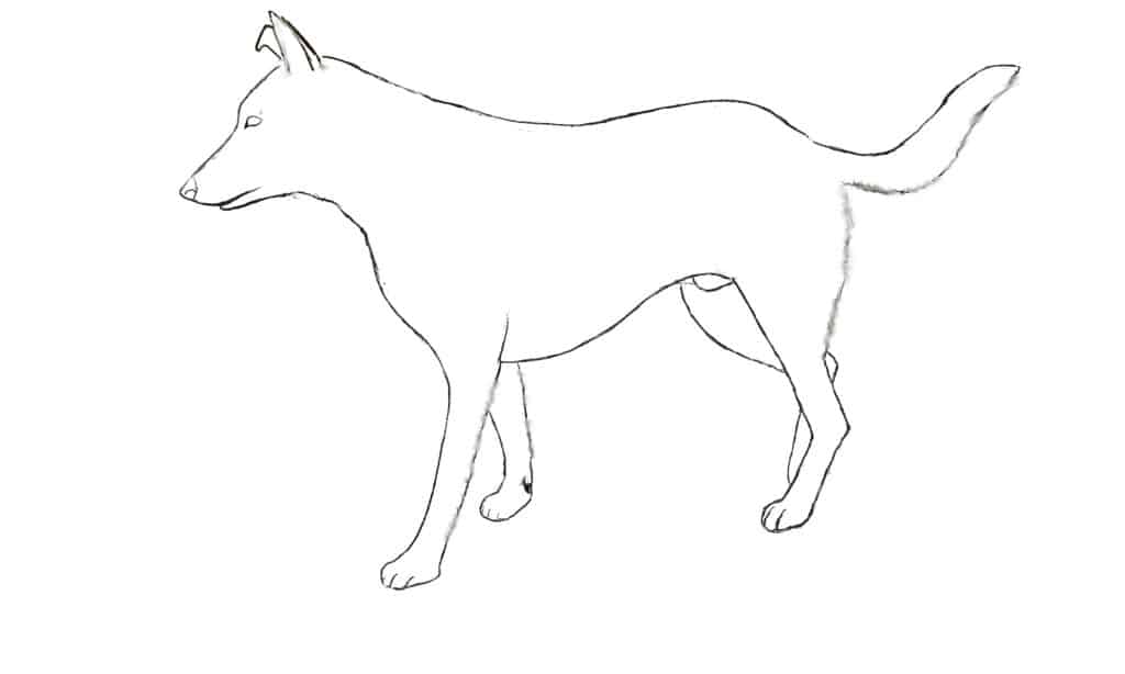 How to draw a dog 4