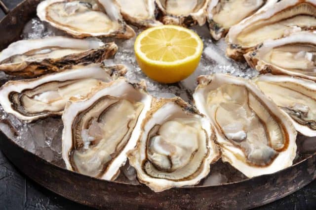 Oysters close-up. A dozen of raw oysters on a platter