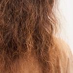 The Best 6 Shampoos for Extremely Dry Hair