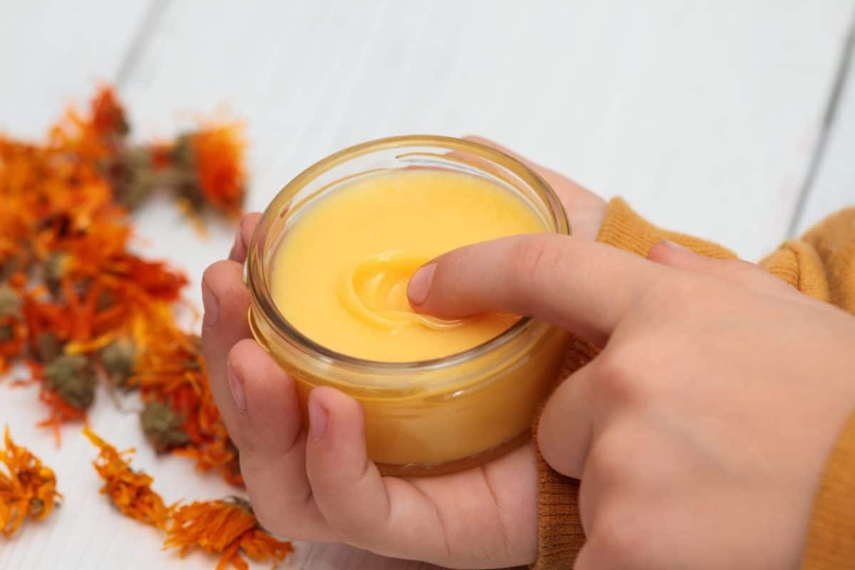 Small boy using calendula ointment. Medicinal cream from dried marigold flowers good for skin. White wooden table. Best treatment options for diaper rash.