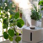 3. Cool Mist Humidifier