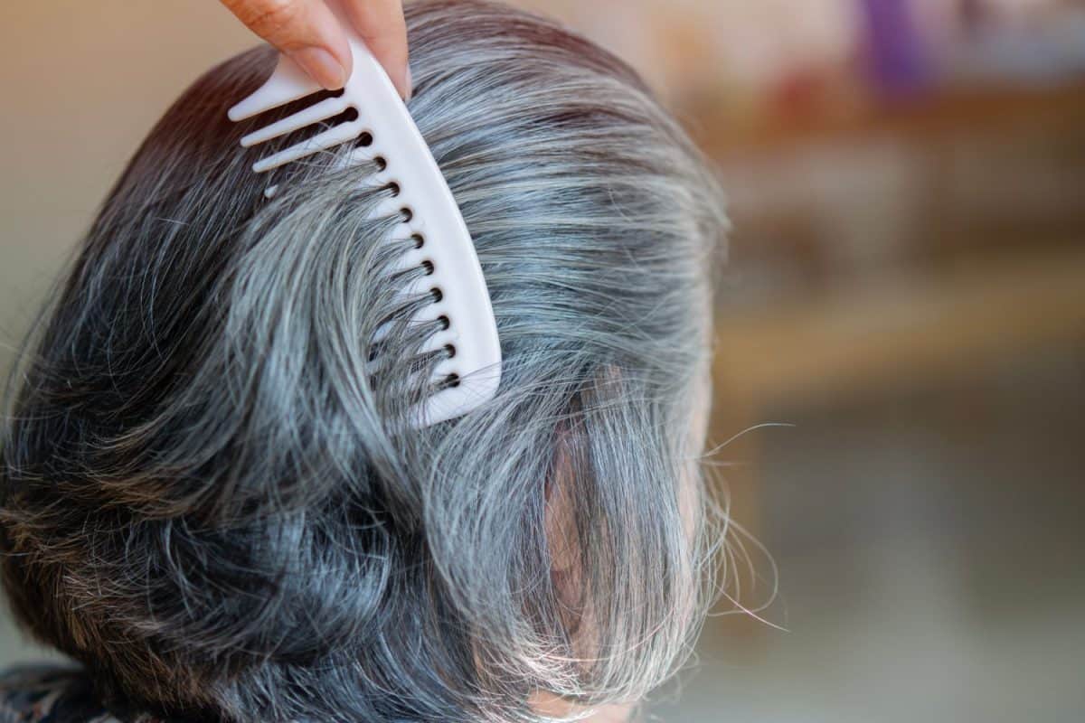 Middle age grey-haired woman on back view combing hair standing at home. Gray hair concept, selective focus. Shampoo for gray hair