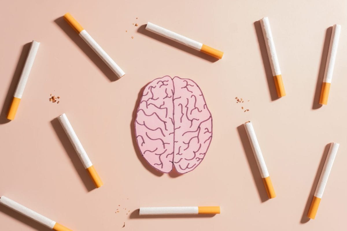 Smoking harms brain health. Tobacco or cigarettes with human brain organ symbol on brown background. Smoking increase risk for brain conditions, such as dementia, and stroke. World no tobacco day. Treatment for step throat