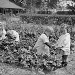 Garden Helpers