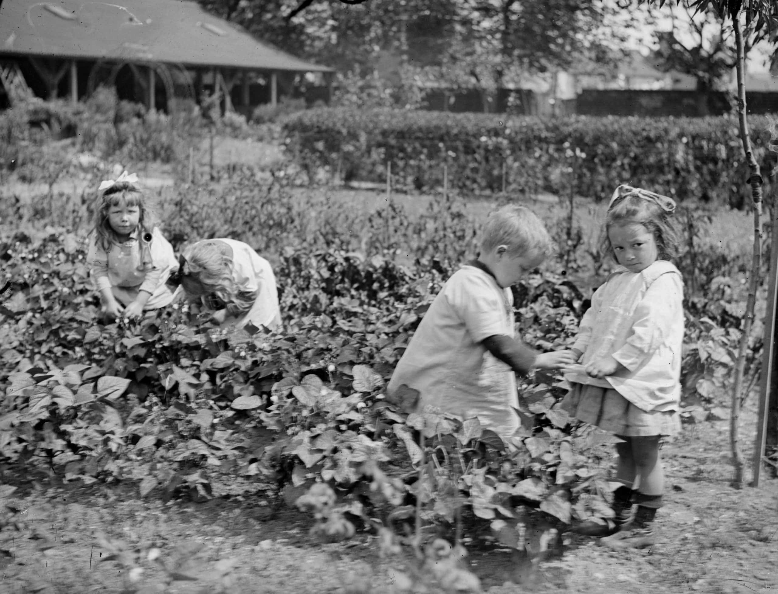 Garden Helpers