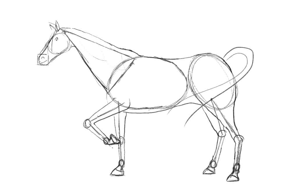 Sketch your horse's outline