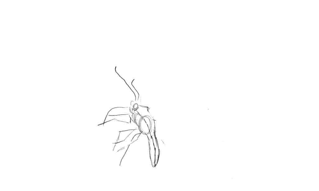 How to draw a butterfly step 3