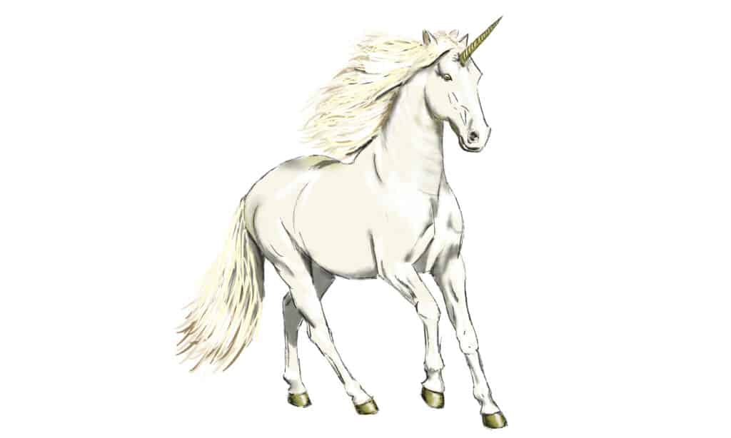 Adding highlights to your unicorn drawing