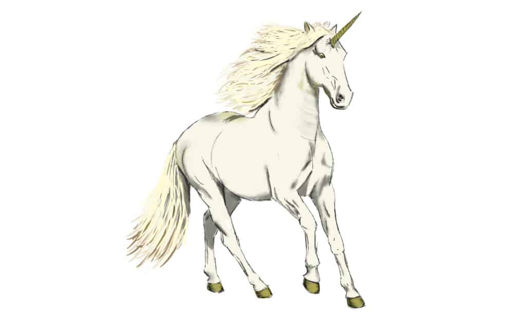 6 steps to draw a unicorn