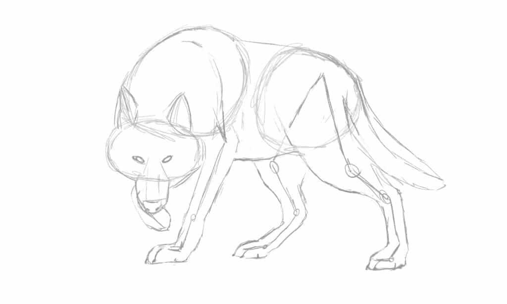 Sketch the outline for your wolf