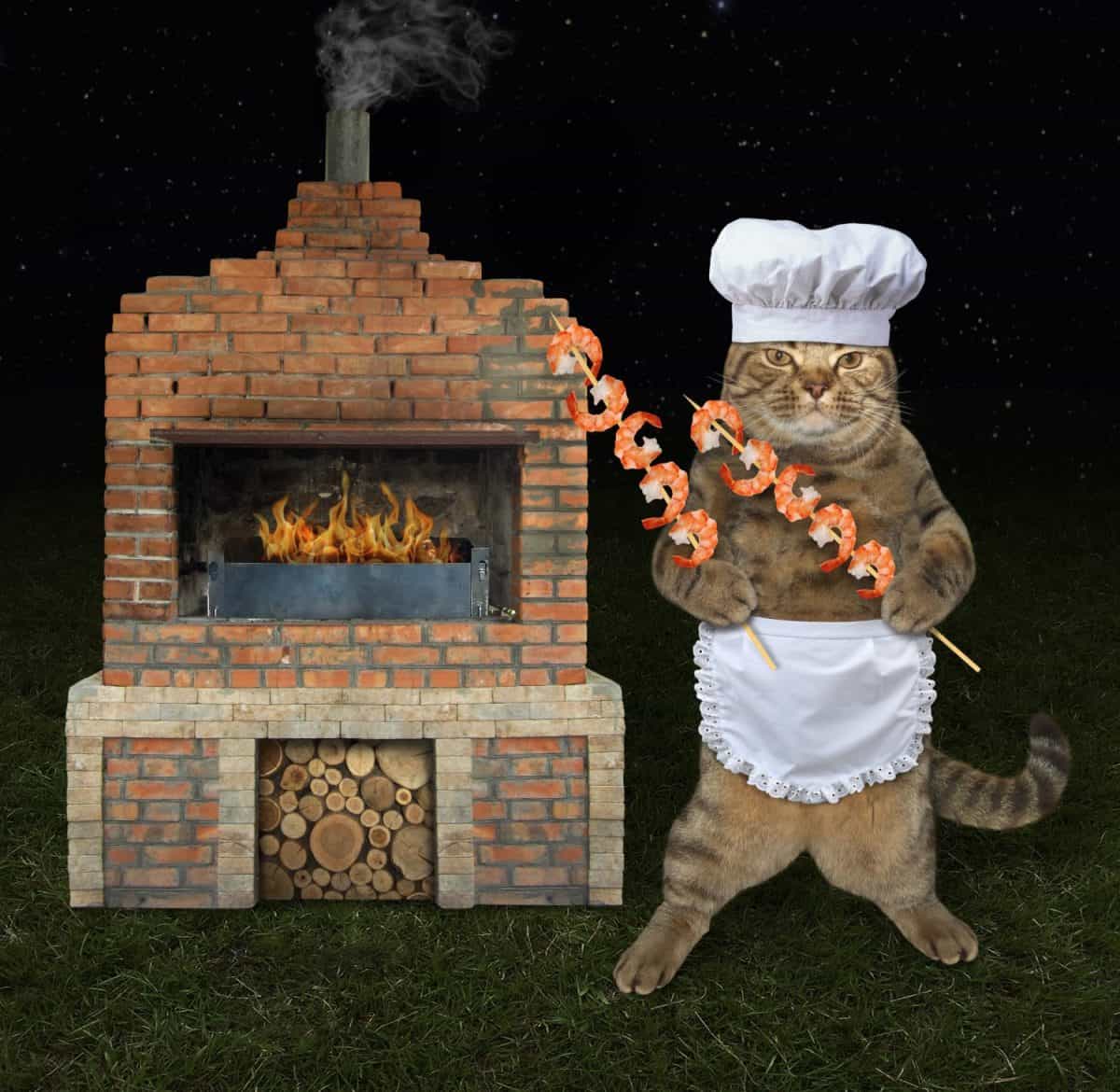 The chef cat with shrimps on the wooden barbecue skewers is next to a brick bbq grill at night.