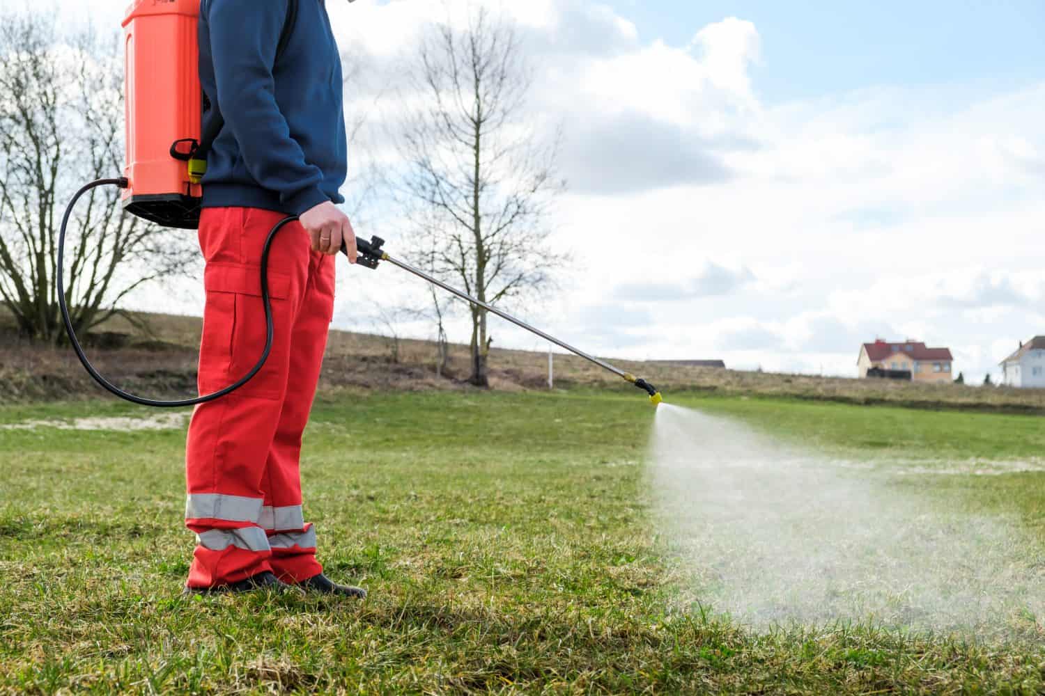 How To Get Rid of Flies Outside With Flying Insect Spray