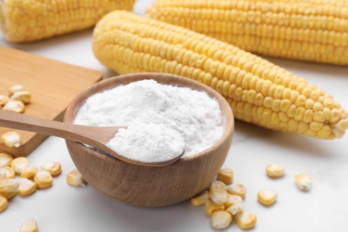 Bowl with corn starch, ripe cobs and kernels on white table. How to trim guinea pig nails.