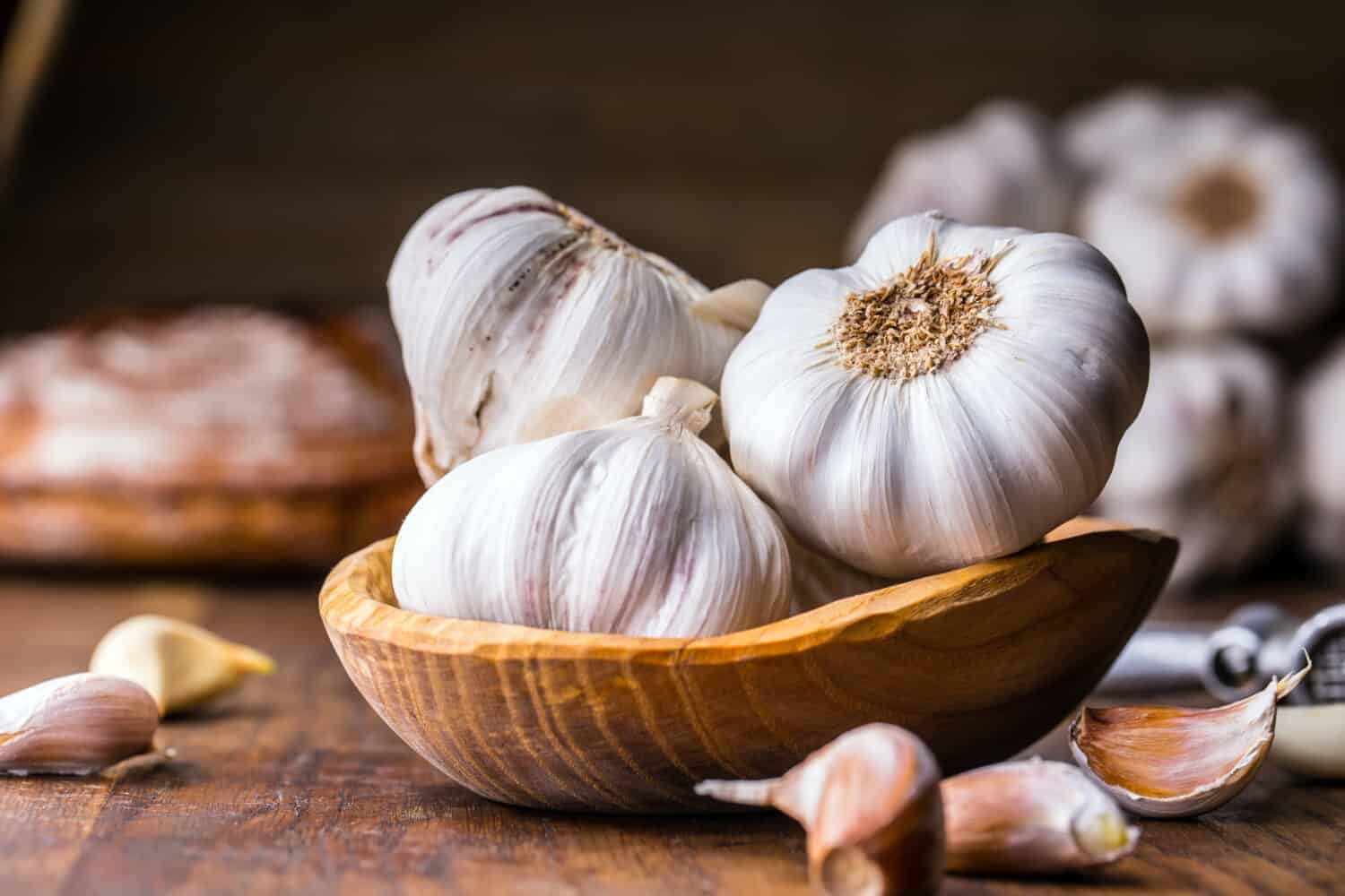 Garlic Cloves and Bulb in vintage wooden bowl.