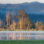 44. Clear Lake, WA (Cascade Range)