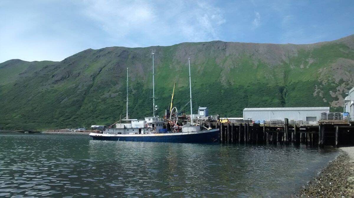 ALEUTIAN EXPRESS at King Cove Alaska 7 13 2016 20