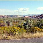 14. East Basin, UT (Wasatch Range)